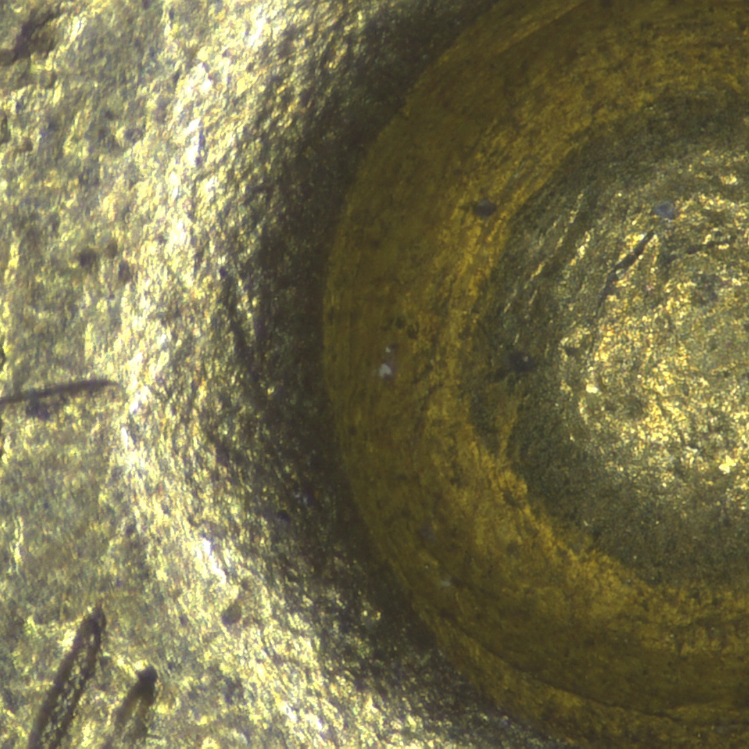 弹壳痕迹 EDF - 体视 4.5X