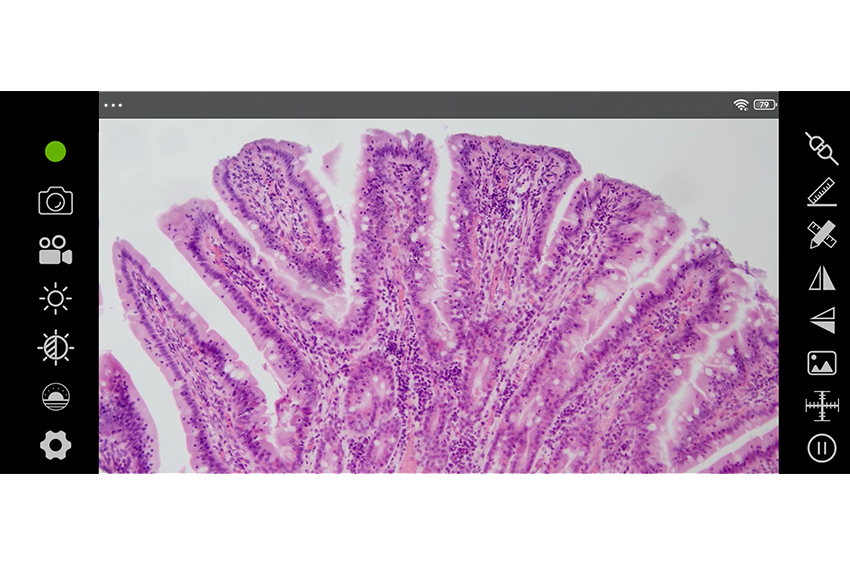 支持无线Wi-Fi功能