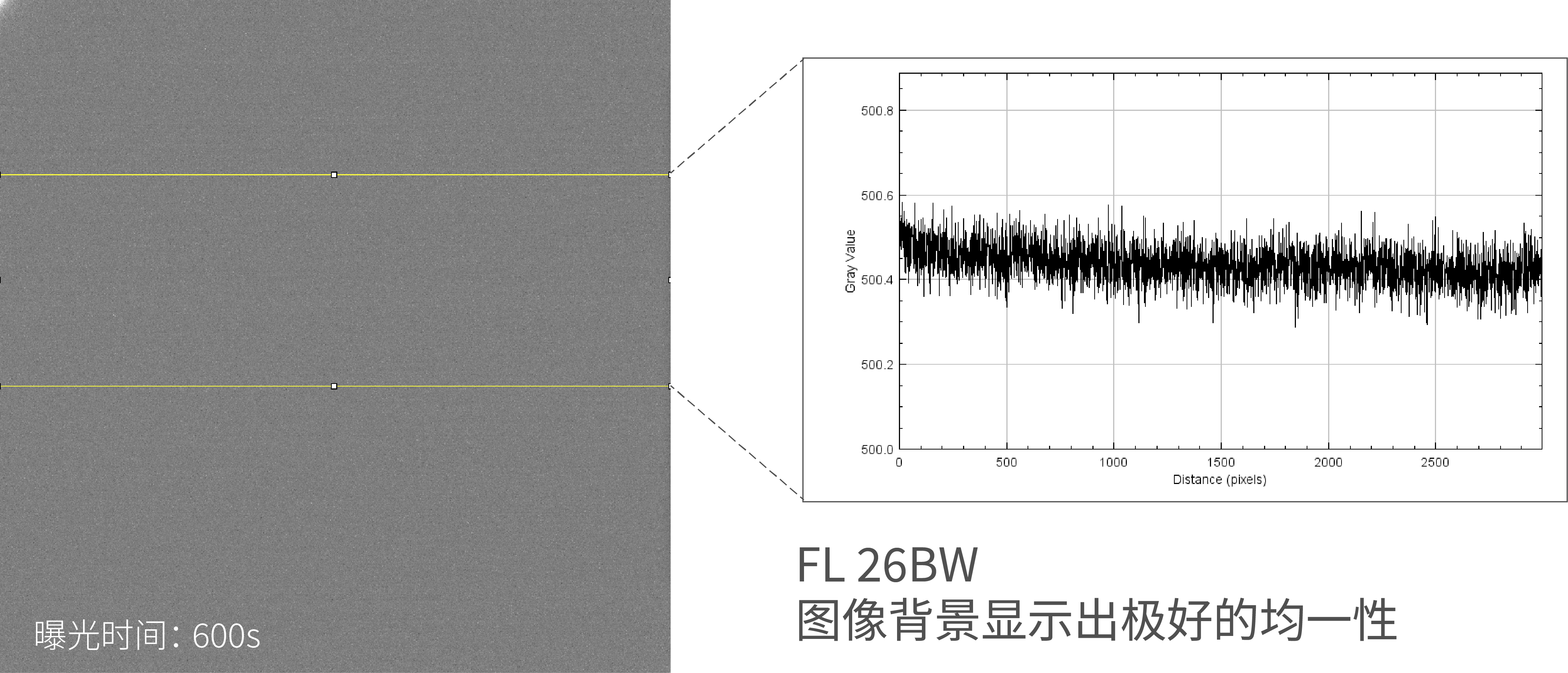 背景均一 定量分析更精准
