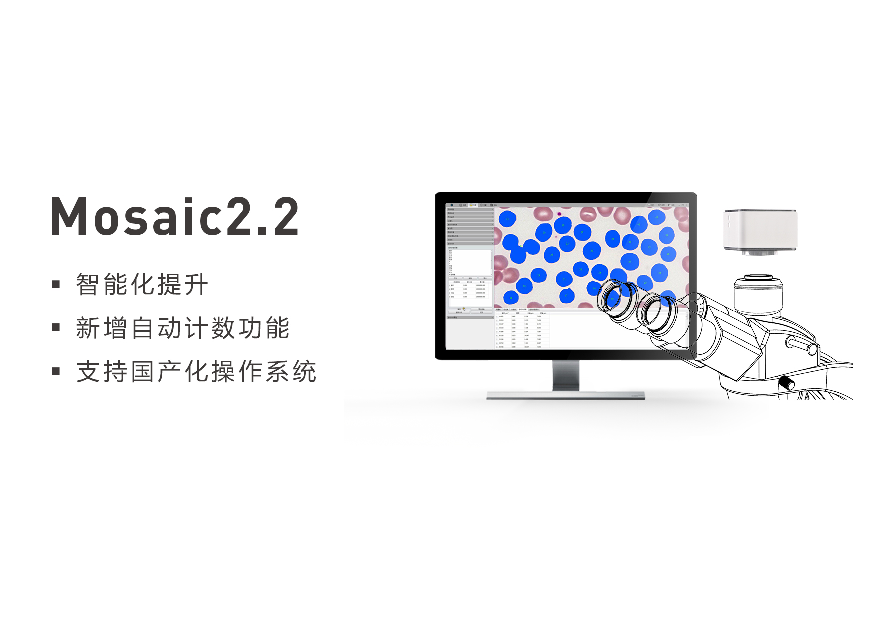 Mosaic2.2 banner