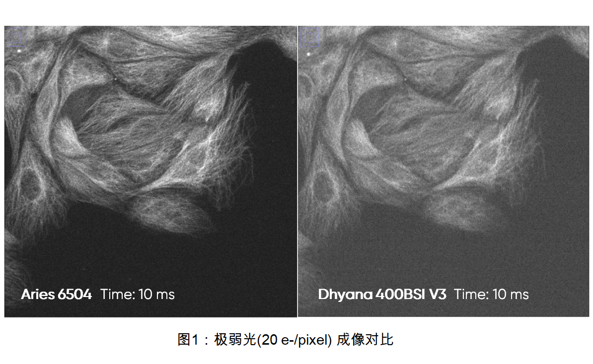 95% QE / 0.8 e⁻ (RMS) 读出噪声<br> 适用于极弱光成像