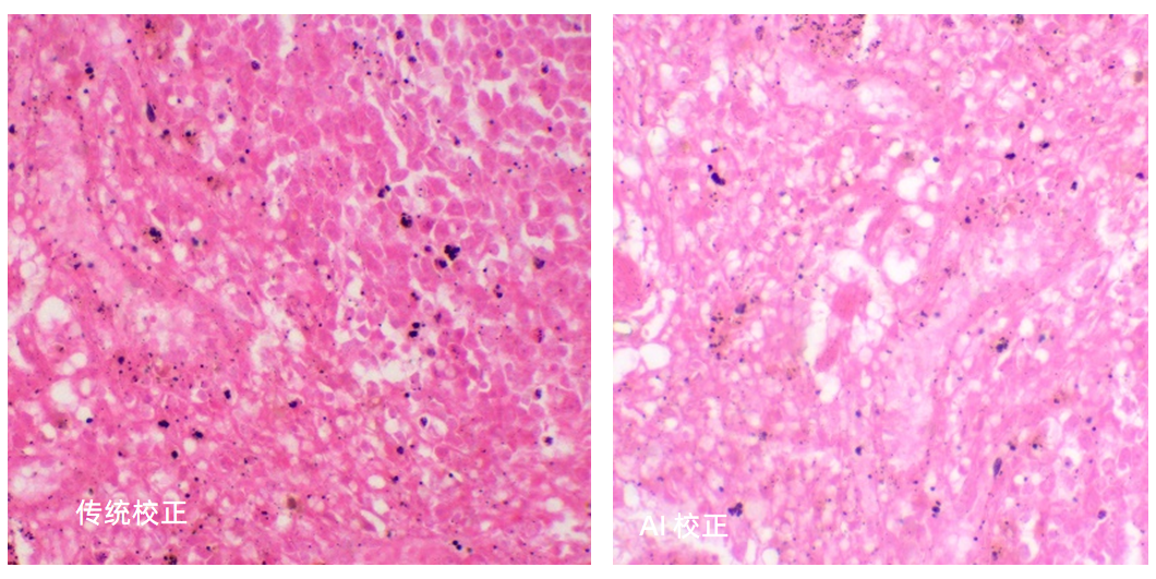 真实色彩还原，所见即所得